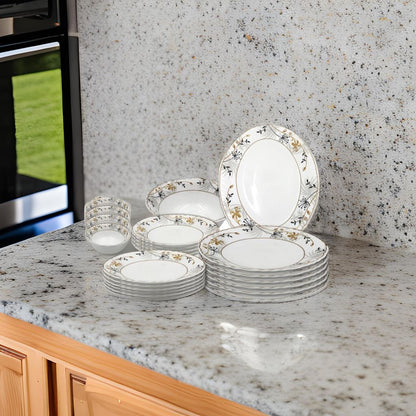 Danny home Opalware Dinnerware set Dishwasher Mirowave Freezer Safe, BPA-Free Break Scratch Heat Resistant Dinner Soup Dessert Serving Plates, Medium & Large Bowls